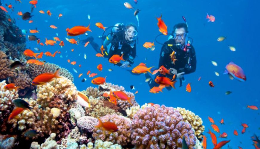 Tauchen in El Gouna tauch tour mit 2 tauchgängen
