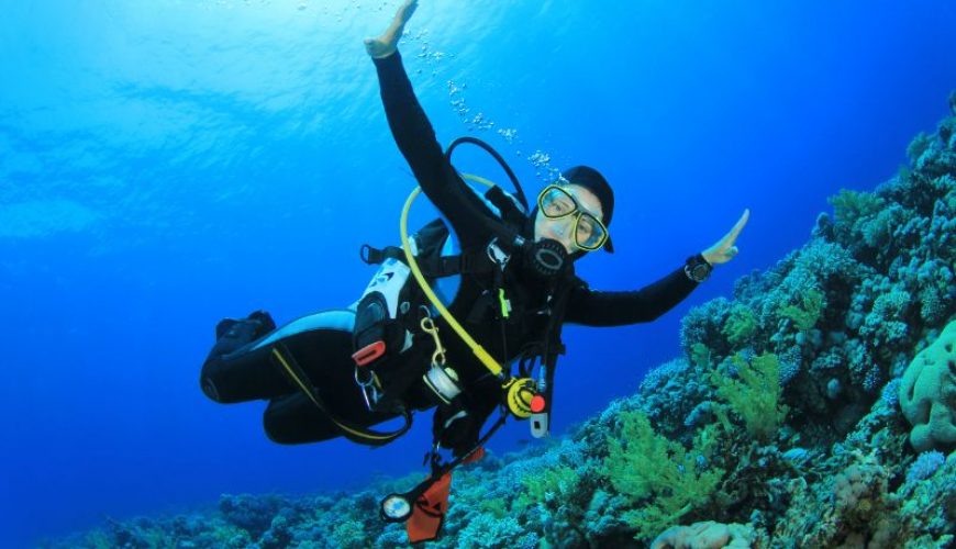 Tauchen in Sahl Hasheesh tauch tour mit 2 tauchgängen