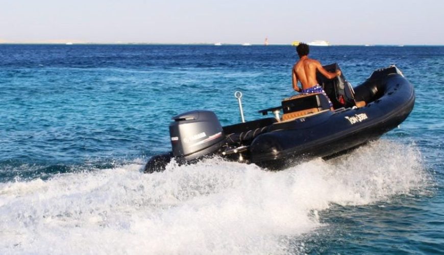 Delfin Tour mit Speedboot Privat | Delfin Ausflug Makadi Bay